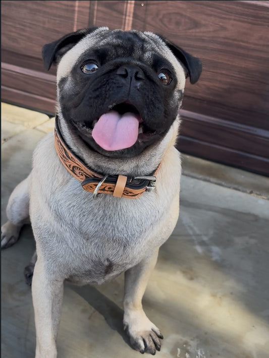 Tooled Leather Collar