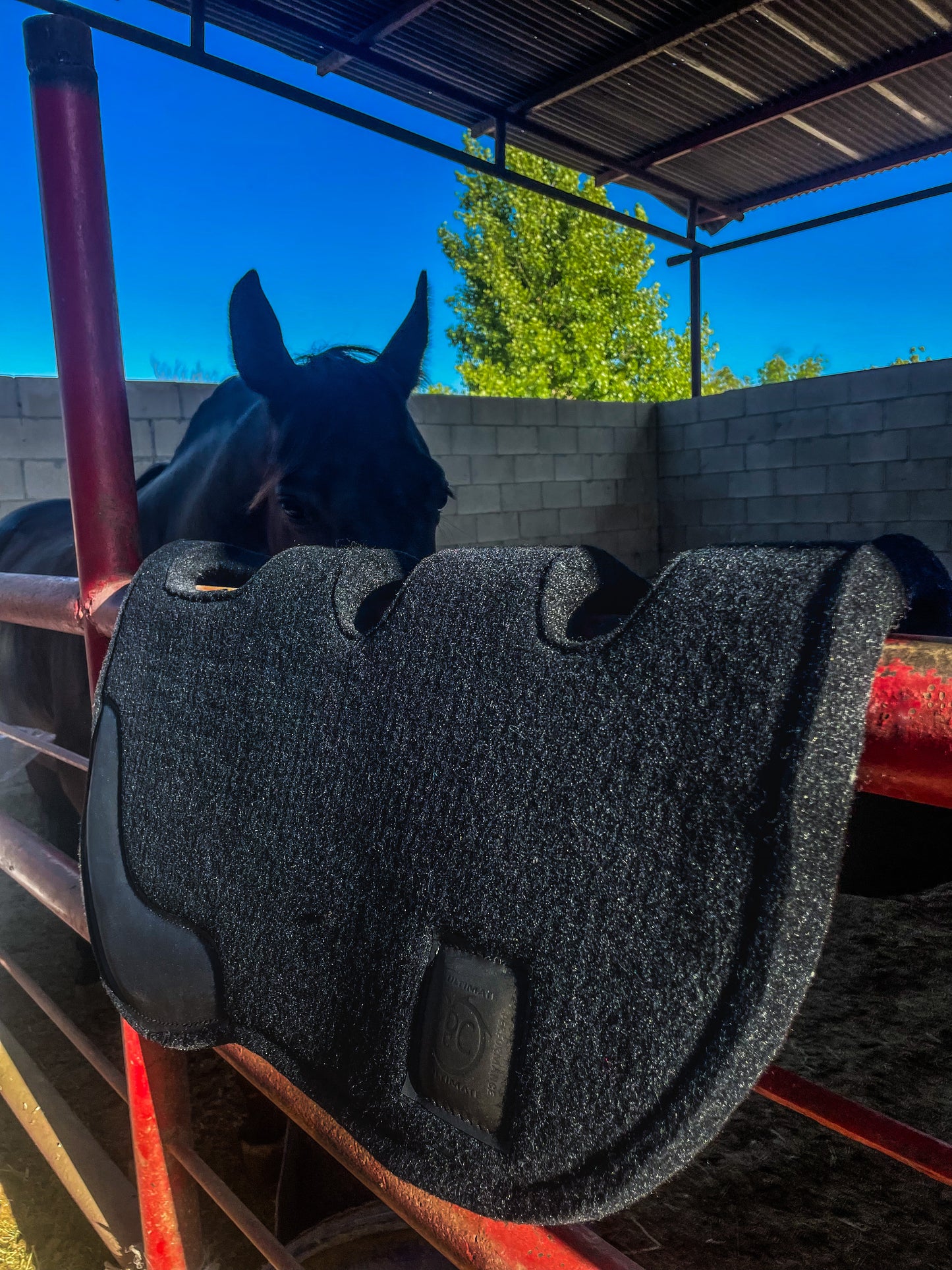 Black Charro Saddle Pad ~ Suadero Cola de Pato